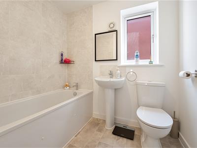 Picture 17
